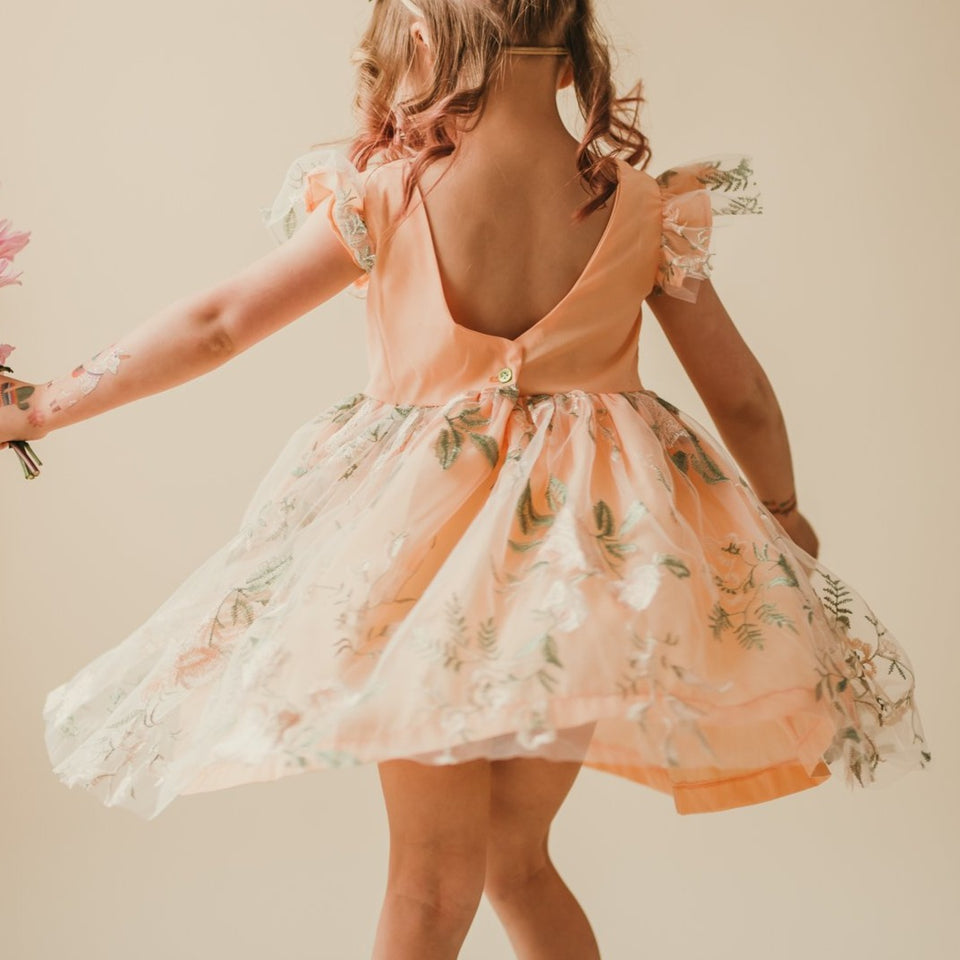 Little girl on sale peach dress