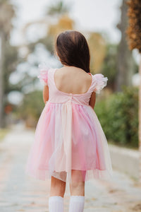 Little Girl's Pink Ombre Flutter Sleeve Tulle Dress