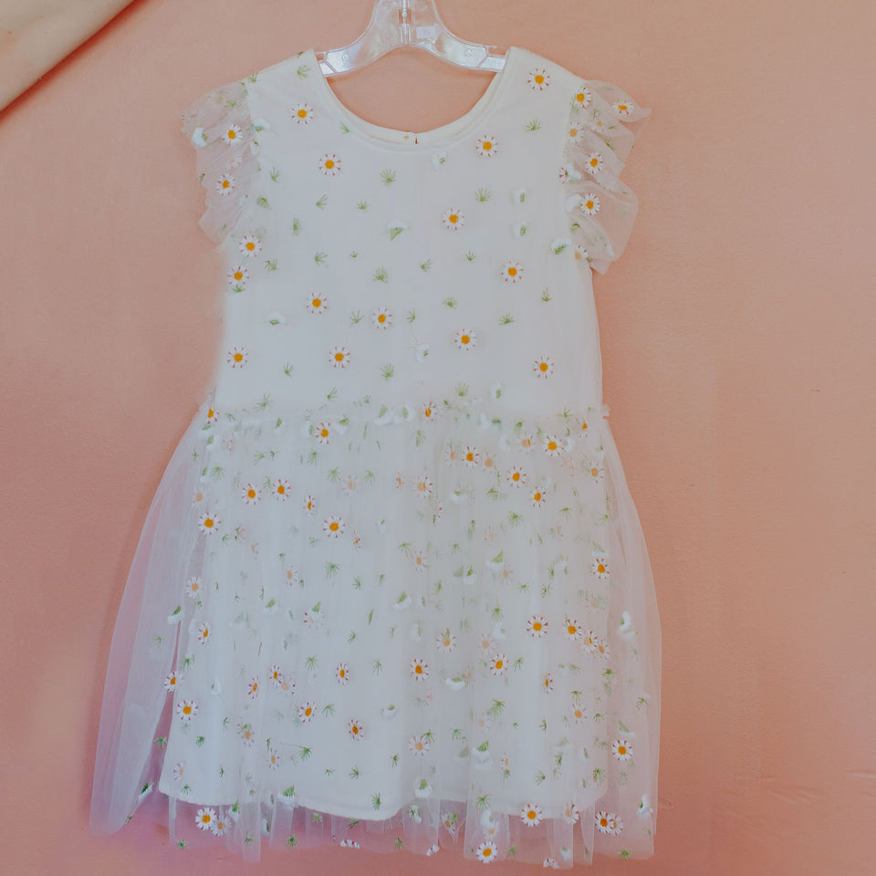Little Girl's Daisy Embroidered Tulle Dress