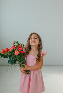 little girls pink gingham flutter sleeve twirl dress
