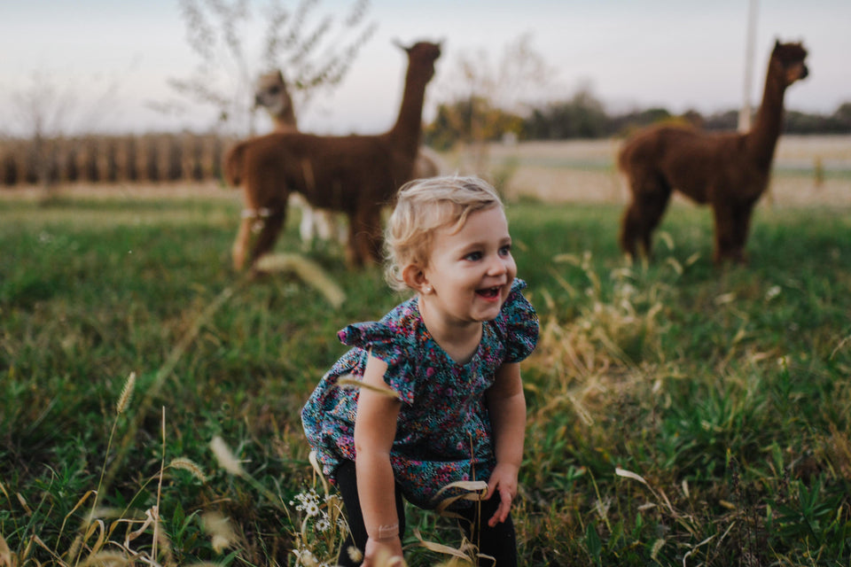 baby photoshoot with alpacas