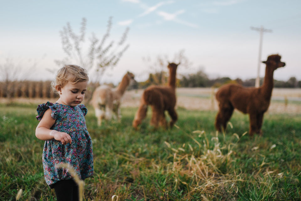 infant girl's first birthday outfit