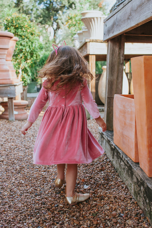 girls velvet special occasion dress