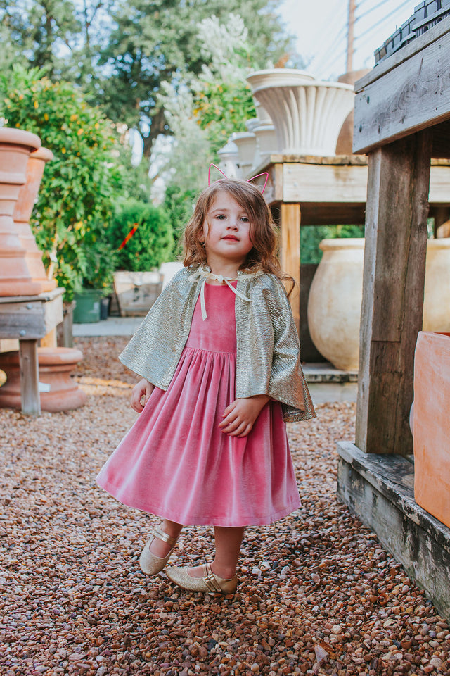 little girls pink velvet dress