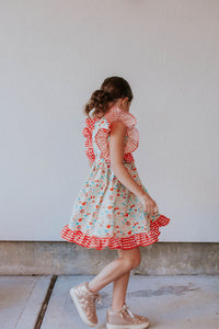 little girl's picnic dress