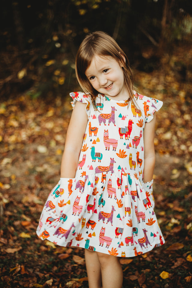 little girls rainbow alpaca print ruffle dress