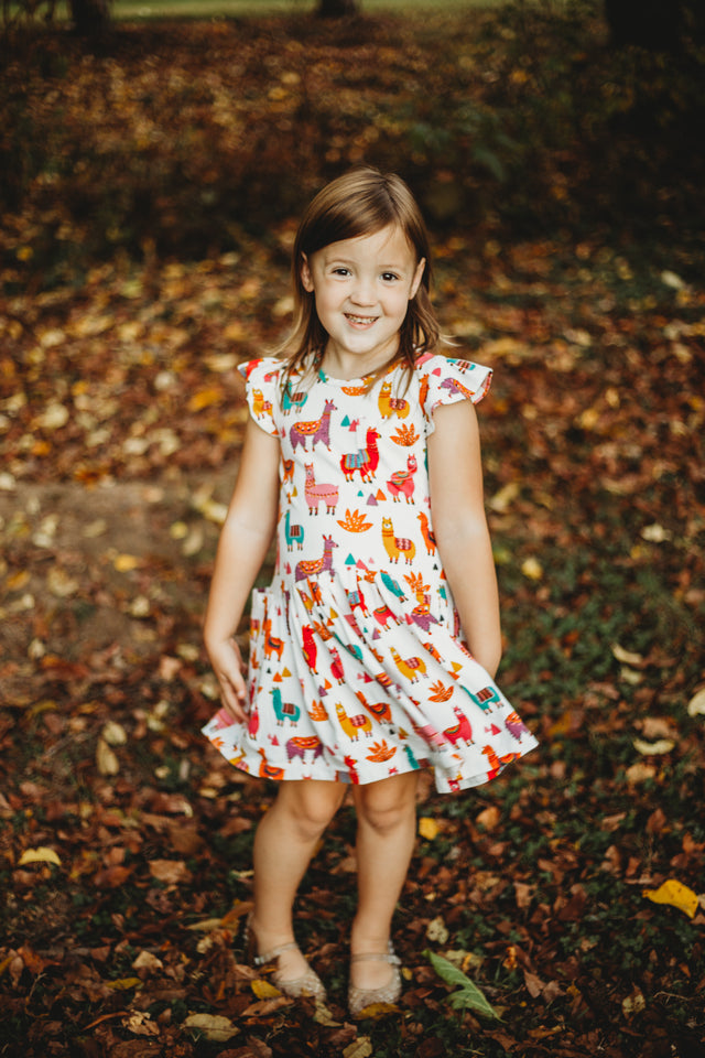 Little Girl's Multicolor Alpaca Print Jersey Cotton Three Pocket Dress