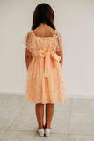 Little Girl's Peach Tulle Daisy Print Twirl Dress