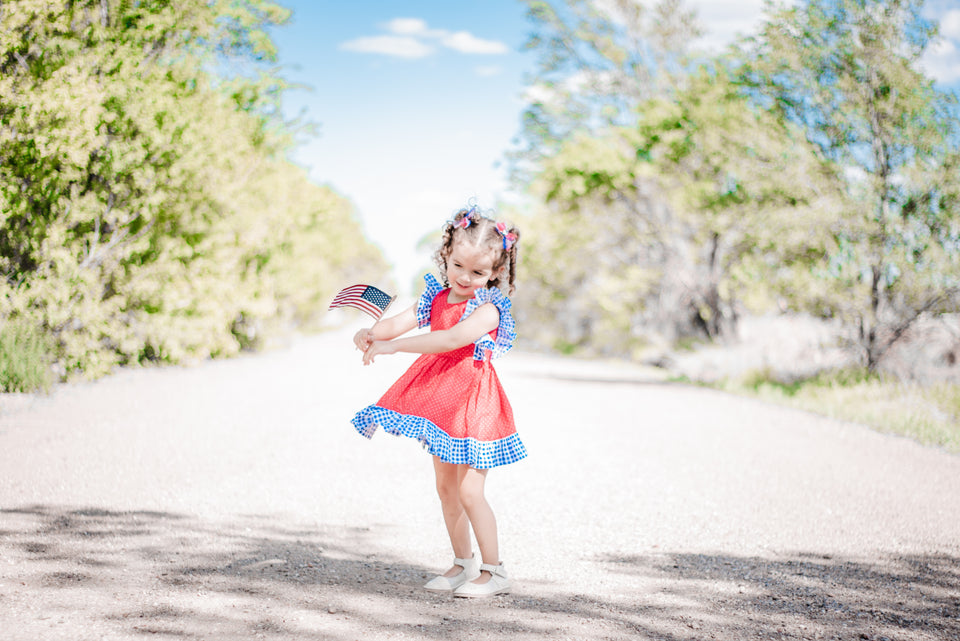 Little Girl s Blue and Red Gingham Pinafore Style Twirl Dress