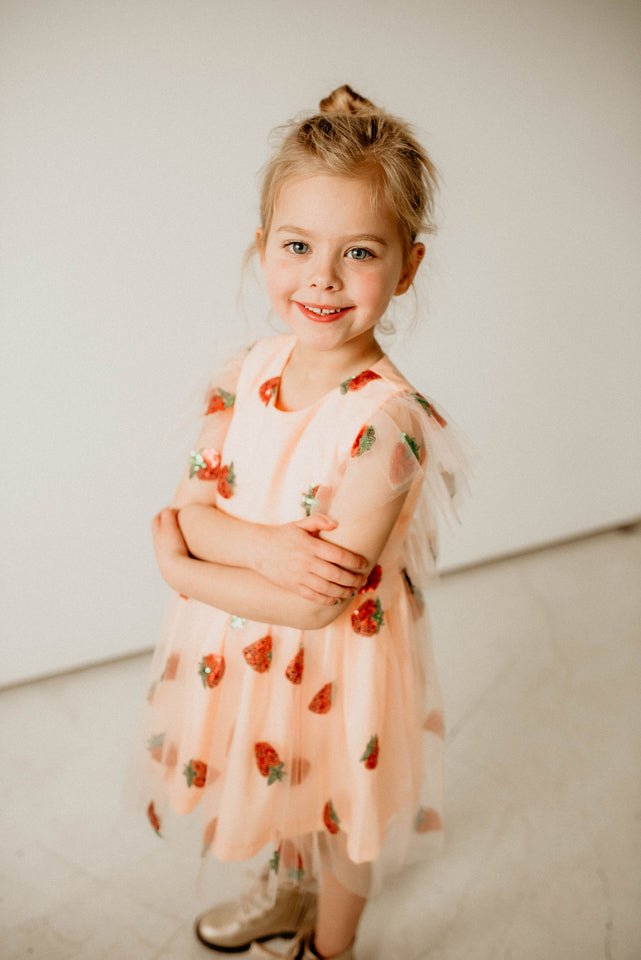 little girls berry first birthday dress