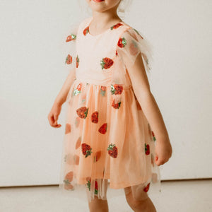 Girl's Pink and Red Sequin Strawberry Tulle Twirl Dress