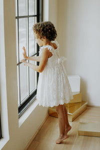 Little Girls Lace Scalloped Edge Special Occasion Dress