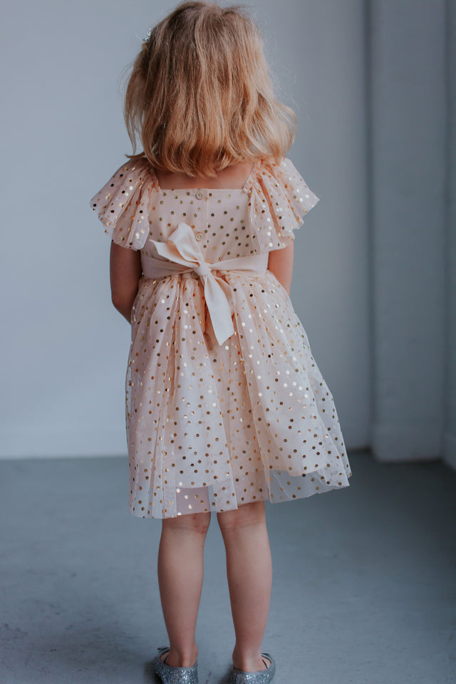 little girls flower girl dress